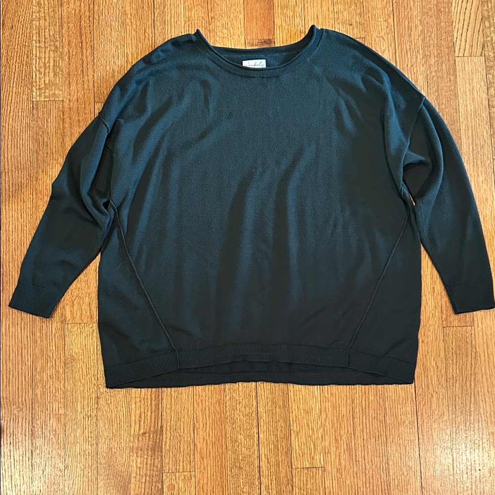 Wonderly Forest Green Oversized Sweater Size PS